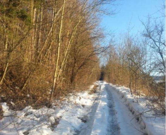 2.6.2015 Dražba podílu na pozemků s vyvolávací cenou 186.073Kč. 2.6.2015 Dražba podílu na pozemků s vyvolávací cenou 186.073Kč.