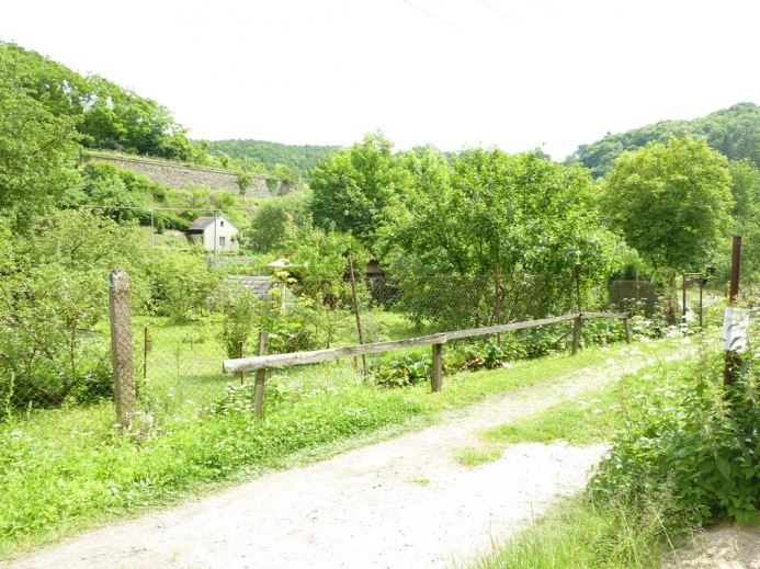 23.6.2015 Dražba zahrady s vyvolávací cenou 66.667Kč. 23.6.2015 Dražba zahrady s vyvolávací cenou 66.667Kč.