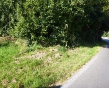 21.12.2016 13:00 Dražba pozemku, okres Děčín. Vyvolávací cena 50.000 Kč 21.12.2016 13:00 Dražba pozemku, okres Děčín. Vyvolávací cena 50.000 Kč