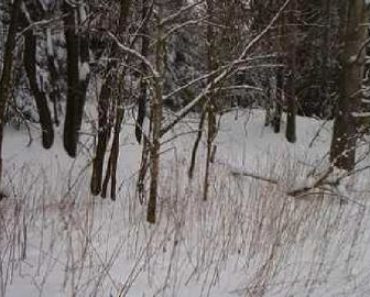 17.05.2017 10:00:00. Dražba pozemku, okres Havlíčkův Brod. Vyvolávací cena 371 767 Kč 17.05.2017 10:00:00. Dražba pozemku, okres Havlíčkův Brod. Vyvolávací cena 371 767 Kč