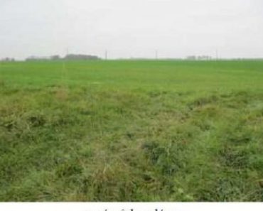 04.04.2017 12:30:00. Dražba pozemku, okres Rychnov nad Kněžnou. Vyvolávací cena 6 405 Kč 04.04.2017 12:30:00. Dražba pozemku, okres Rychnov nad Kněžnou. Vyvolávací cena 6 405 Kč