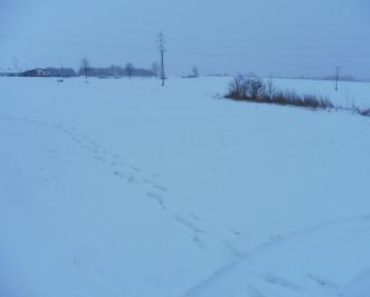 27.04.2017 13:00:00. Dražba pozemku, okres Tábor. Vyvolávací cena 281 200 Kč, ID 111422 27.04.2017 13:00:00. Dražba pozemku, okres Tábor. Vyvolávací cena 281 200 Kč, ID 111422