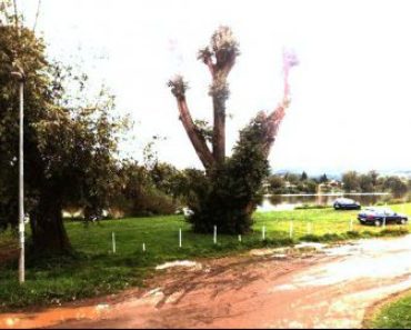 29.06.2017 13:00:00. Dražba chaty (chalupy), okres Praha-západ. Vyvolávací cena 200 000 Kč, ID 144619 29.06.2017 13:00:00. Dražba chaty (chalupy), okres Praha-západ. Vyvolávací cena 200 000 Kč, ID 144619