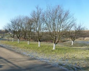 15.06.2017 13:00:00. Dražba pozemku, okres Nový Jičín. Vyvolávací cena 45 556 Kč, ID 142415