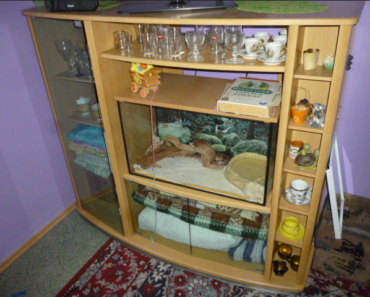 4.10.2017 Dražba skříňky. Vyvolávací cena 100 Kč. 4.10.2017 Dražba skříňky. Vyvolávací cena 100 Kč.