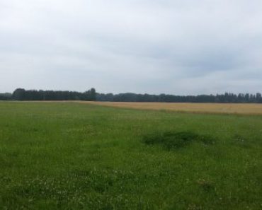 25.10.2017 Elektronická dražba pozemku. Tato nemovitost leží v okrese Nymburk. Vyvolávací cena 15 300 Kč 25.10.2017 Elektronická dražba pozemku. Tato nemovitost leží v okrese Nymburk. Vyvolávací cena 15 300 Kč