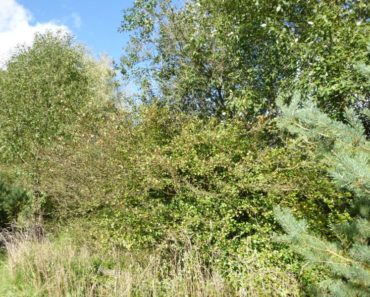 31.01.2018 Dražba / prodej pozemku. Tato nemovitost leží v okrese Tachov. Vyvolávací nebo kupní cena 23.333 Kč 31.01.2018 Dražba / prodej pozemku. Tato nemovitost leží v okrese Tachov. Vyvolávací nebo kupní cena 23.333 Kč