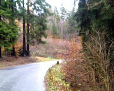 08.02.2018 Dražba / prodej pozemku. Tato nemovitost leží v okrese Jablonec nad Nisou. Vyvolávací nebo kupní cena 66 667 Kč 08.02.2018 Dražba / prodej pozemku. Tato nemovitost leží v okrese Jablonec nad Nisou. Vyvolávací nebo kupní cena 66 667 Kč