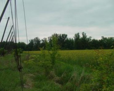 10.12.2018 Dražba Pozemky – Pozemek o velikosti 126347 m2, Březno u Loun. Tato nemovitost leží v okrese Louny. Vyvolávací cena 618 000 Kč, (ID: 392592) 10.12.2018 Dražba Pozemky – Pozemek o velikosti 126347 m2, Březno u Loun. Tato nemovitost leží v okrese Louny. Vyvolávací cena 618 000 Kč, (ID: 392592)
