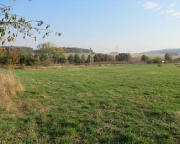 16.01.2019  Dražba Pozemky – Pozemek o velikosti  2145 m2, Chraštice. Tato nemovitost leží v okrese Příbram. Vyvolávací cena 590 000 Kč, (ID: 428435)