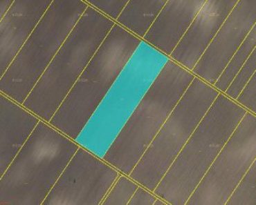 10.04.2019 Dražba Pozemky – Pozemek, Krhovice, podíl 1/8. Tato nemovitost leží v okrese Znojmo. Vyvolávací cena 22 000 Kč, (ID: 451835) 10.04.2019 Dražba Pozemky – Pozemek, Krhovice, podíl 1/8. Tato nemovitost leží v okrese Znojmo. Vyvolávací cena 22 000 Kč, (ID: 451835)