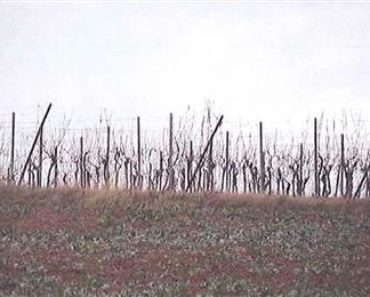 16.5.2019 Dražba nemovitosti (zemědělský pozemek 6273 m2). Vyvolávací cena 111.700 Kč, ID506780