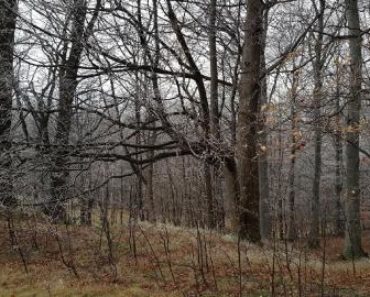 15.03.2019 Dražba Pozemky – 1/3 podíl na pozemcích LV 348 v Malenovicích na Frýdecko-Místecku. Tato nemovitost leží v okrese Frýdek-Místek. Vyvolávací cena 333 333 Kč, (ID: 479165) 15.03.2019 Dražba Pozemky – 1/3 podíl na pozemcích LV 348 v Malenovicích na Frýdecko-Místecku. Tato nemovitost leží v okrese Frýdek-Místek. Vyvolávací cena 333 333 Kč, (ID: 479165)