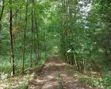 16.05.2019  Dražba Pozemky – Opakovaná dražba 1/4 lesa, okr. Chrudim. Tato nemovitost leží v okrese Chrudim. Vyvolávací cena 36 000 Kč, (ID: 518680)