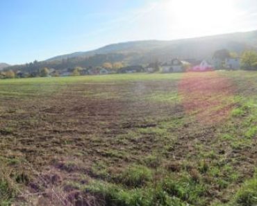 22.05.2019 Dražba Pozemky – Pozemky, Lety u Dobřichovic, podíl 1/12. Tato nemovitost leží v okrese Praha-západ. Vyvolávací cena 262 000 Kč, (ID: 518702) 22.05.2019 Dražba Pozemky – Pozemky, Lety u Dobřichovic, podíl 1/12. Tato nemovitost leží v okrese Praha-západ. Vyvolávací cena 262 000 Kč, (ID: 518702)