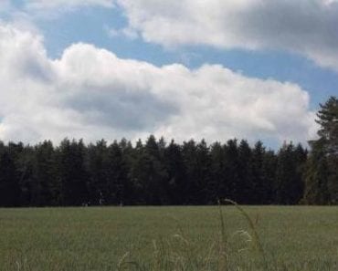 22.8.2019 Dražba nemovitosti (Pozemek o velikosti 2467 m2, Loučka u Bílska, podíl 8/27). Vyvolávací cena 18.000 Kč, ➡ ID618359 22.8.2019 Dražba nemovitosti (Pozemek o velikosti 2467 m2, Loučka u Bílska, podíl 8/27). Vyvolávací cena 18.000 Kč, ➡ ID618359