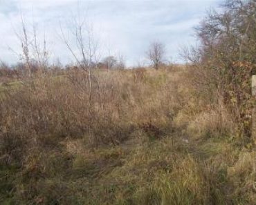 19.9.2019 Dražba nemovitosti (Pozemek p.č. 1181/1 zahrada v obci Bučovice). Vyvolávací cena 47.500 Kč, ➡ ID642661