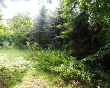 25.9.2019 Dražba nemovitosti (Pozemek, k.ú. Sezemice nad Loučnou). Vyvolávací cena 1.187.220 Kč, ➡ ID645167