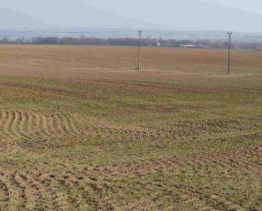 23.10.2019 Dražba nemovitosti (Orná půda 10265 m2 Radslavice, okr. Vyškov – podíl 1/36). Vyvolávací cena 5.934 Kč, ➡ ID641474 23.10.2019 Dražba nemovitosti (Orná půda 10265 m2 Radslavice, okr. Vyškov – podíl 1/36). Vyvolávací cena 5.934 Kč, ➡ ID641474