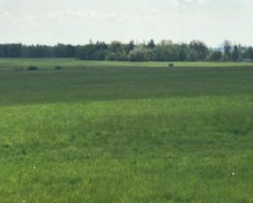 12.11.2019 Dražba nemovitosti (Pozemek o velikosti  8244 m2, Májůvka). Vyvolávací cena 129.333 Kč, ➡ ID655368