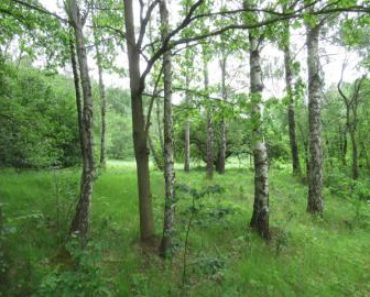 16.10.2019 Dražba nemovitosti (Pozemky, Jiříkov, podíl 1/6). Vyvolávací cena 42.000 Kč, ➡ ID653231 16.10.2019 Dražba nemovitosti (Pozemky, Jiříkov, podíl 1/6). Vyvolávací cena 42.000 Kč, ➡ ID653231