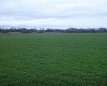 30.7.2020 Dražba nemovitosti (ELEKTRONICKÁ DRAŽBA! Pozemky o celkové výměře 42 418 m2, podíl 1/3, okres Pardubice). Vyvolávací cena 211.400 Kč, ➡ ID733374