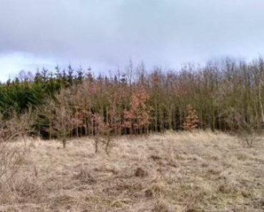 4.8.2020 Dražba nemovitosti (1/6 pozemků v obci Blížejov, k.ú. Malonice nad Zubřinou, okres Domažlice). Vyvolávací cena 12.560 Kč, ➡ ID735003