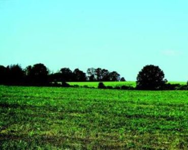 4.11.2020 Dražba nemovitosti (Orná půda – podíl 1/6). Vyvolávací cena 133.333 Kč, ➡️ ID756357