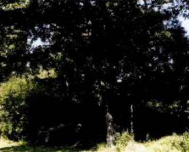 10.11.2020 Dražba nemovitosti (Pozemek o velikosti 9248 m2, Světce, podíl 1/10). Vyvolávací cena 7.200 Kč, ➡ ID759051 10.11.2020 Dražba nemovitosti (Pozemek o velikosti 9248 m2, Světce, podíl 1/10). Vyvolávací cena 7.200 Kč, ➡ ID759051