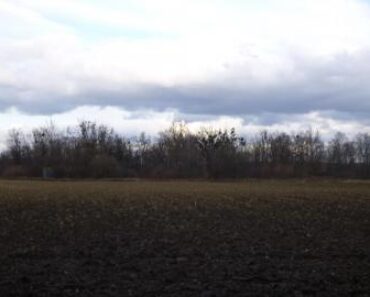 25.11.2020 Dražba nemovitosti (Pozemek o velikosti 12238 m2, Albrechtice u Českého Těšína). Vyvolávací cena 312.000 Kč, ➡ ID767017 25.11.2020 Dražba nemovitosti (Pozemek o velikosti 12238 m2, Albrechtice u Českého Těšína). Vyvolávací cena 312.000 Kč, ➡ ID767017