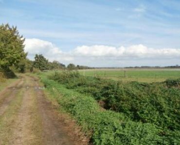 28.1.2021 Dražba nemovitosti (Pozemek (ostatní plocha) v obci Javorník, okr. Jeseník). Vyvolávací cena 22.059 Kč, ➡ ID777088 28.1.2021 Dražba nemovitosti (Pozemek (ostatní plocha) v obci Javorník, okr. Jeseník). Vyvolávací cena 22.059 Kč, ➡ ID777088