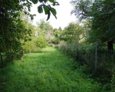 18.2.2021 Dražba nemovitosti (Pozemek o velikosti  2007 m2, Budov u Svádova). Vyvolávací cena 200.000 Kč, ➡ ID784878