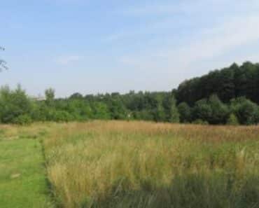 9.6.2021  Dražba Pozemky – Dražba spol. podílu 1/4 pozemku v obci Karviná, k.ú. Ráj. Tato nemovitost leží v okrese Karviná. Vyvolávací cena 145.800 Kč, (ID: 803186)