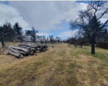 4.11.2021 Dražba nemovitosti (Orná půda). Vyvolávací cena 313.333 Kč, ➡️ ID832907