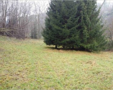 17.2.2025 Dražba nemovitosti (Pozemek o výměře 8.621 m2). Vyvolávací cena 143.000 Kč ➡️ ID1006540